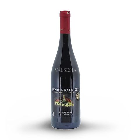 Pinot Noir 2019, výběr z hroznů, suché, 0,75 l